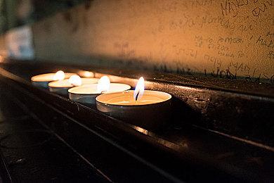 《长臂猿：丛林之外》现已登陆Switch 5月18日登陆PC